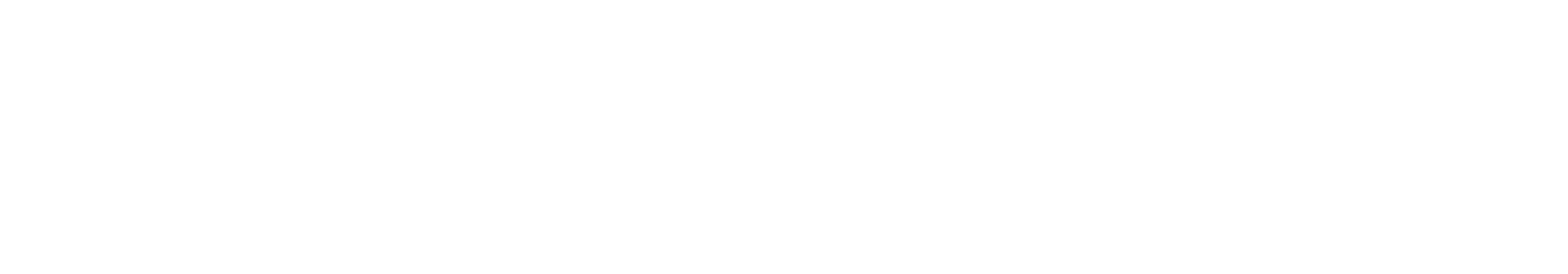 OneDot - Partenaire de la Fête du Lac des Nations