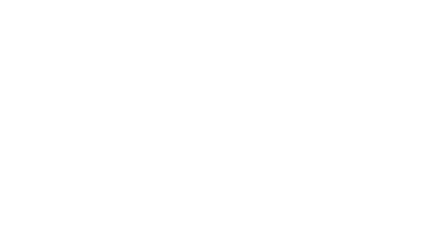 Budlight - Partenaire de la Fête du Lac des Nations