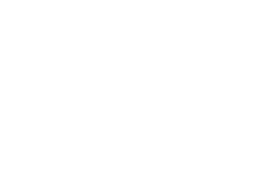 Inacre Conseil - Partenaire de la Fête du Lac des Nations